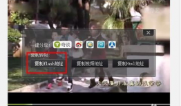 插进去视频,一窥全貌